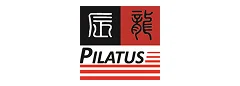 Logo_ 辰龍.webp